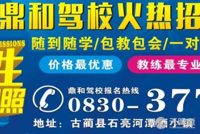 汇龙镇最新招聘驾驶员信息详解