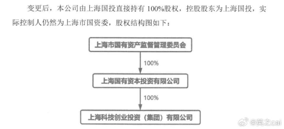 上海科技股票最新消息，行业趋势、公司动态与市场反应