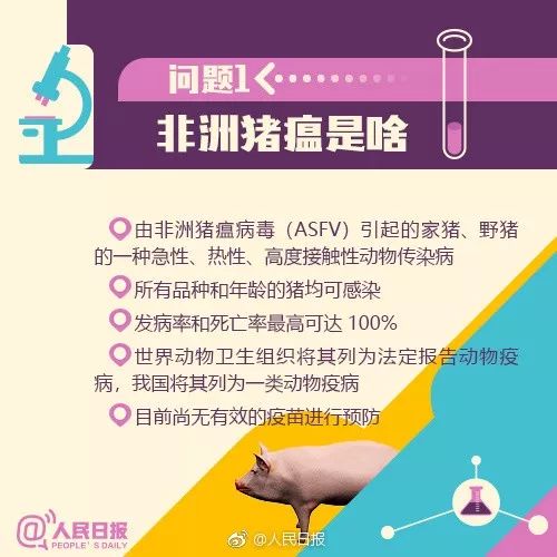 东北猪瘟疫情最新消息，全面应对与防控进展